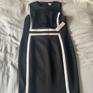Calvin Klein. Size 14W. Black and white sheath dress.